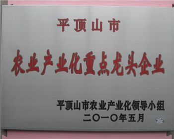 平頂山農業產業化企業